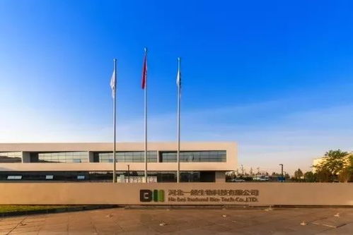 自貿(mào)區(qū)正定片區(qū)企業(yè)助力湖北抗疫