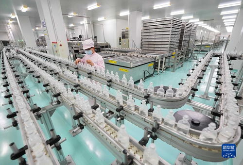 石家莊 打造生物醫藥產業集群 助推經濟高質量發展