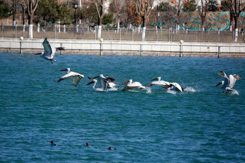 蘭州高新區(qū)探招商新機(jī)制 要以 畝產(chǎn) 論英雄