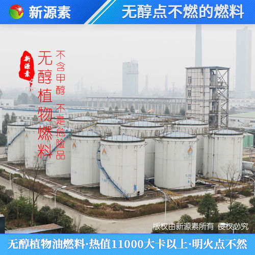 熱門項(xiàng)目創(chuàng)業(yè)生物柴油蒸包爐