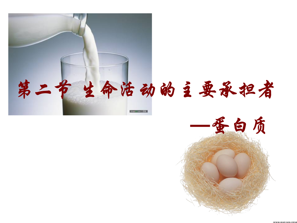 河北省石家莊第十五中學(xué)高二生物 生命活動(dòng)的承擔(dān)者-蛋白質(zhì) 課件.ppt