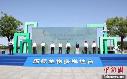 珍稀動植物頻頻 打卡亮相 河北生物多樣性保護取得系列新成效