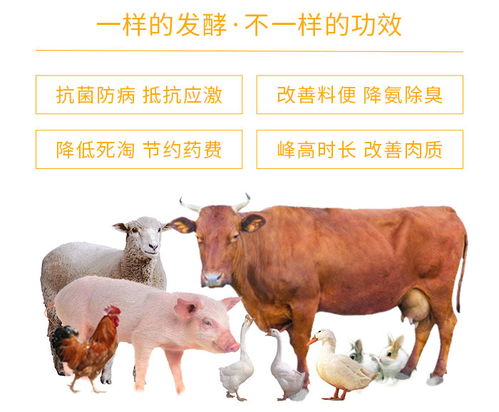 替抗生物飼料招代理 替抗生物飼料 河北泰朗生物飼料價格高清圖片 高清大圖