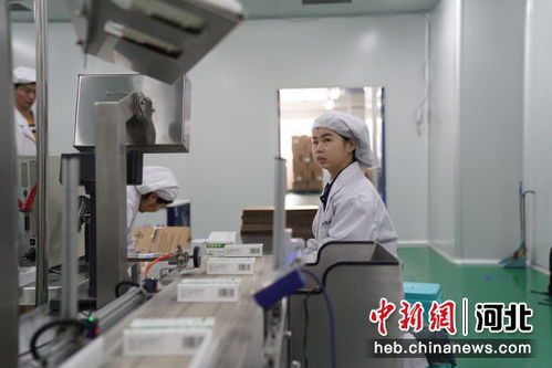 河北邢臺經濟開發區 大力發展生物制造產業 推動集群化發展