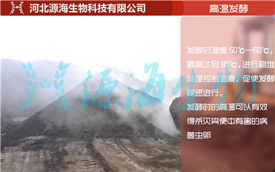 有機(jī)肥發(fā)酵工藝的發(fā)展史(完整版)-