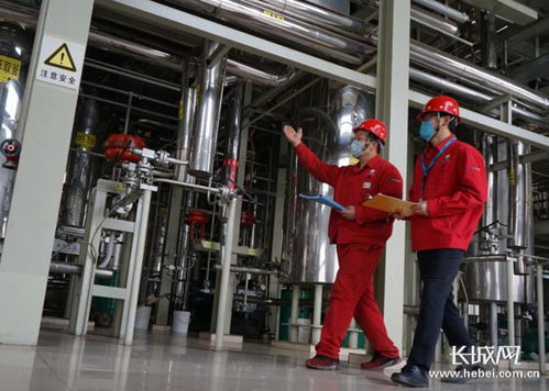 晨光生物 開足馬力保供應,全力完成全年生產銷售任務