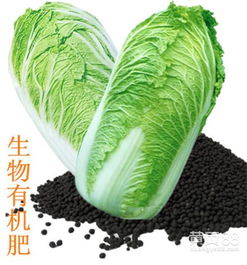 【河北源海有機肥在線咨詢,吳忠生物有機肥,生物有機肥用法】_