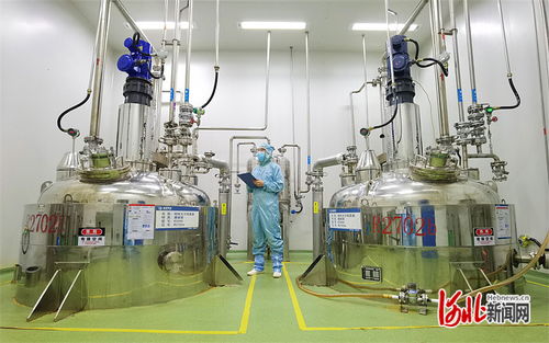 夯實法治之基 增添協(xié)同底色 京津冀協(xié)同發(fā)展中的人大力量