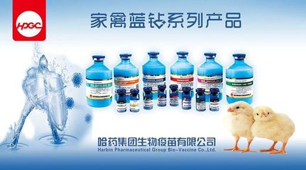 《2022年河北省主要?jiǎng)游镆卟∶庖哂?jì)劃》《2022年河北省主要?jiǎng)游镆卟”O(jiān)測(cè)和流行病學(xué)調(diào)查計(jì)劃》