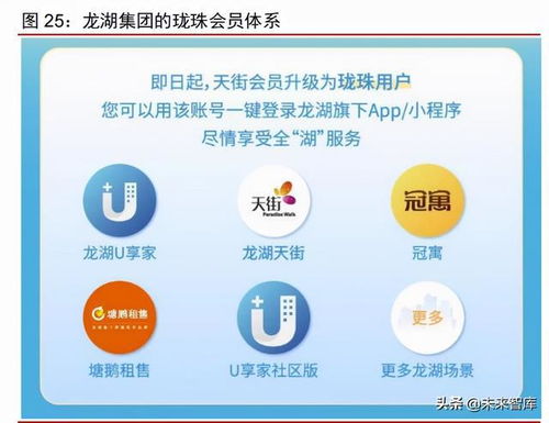 物業管理行業研究與投資策略 大脫鉤,大合流,大分化