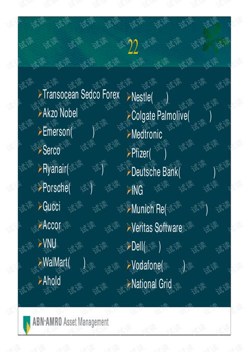 荷銀投資管理公司全球首選投資策略商業(yè)計(jì)劃書(shū)精品模板.pdf